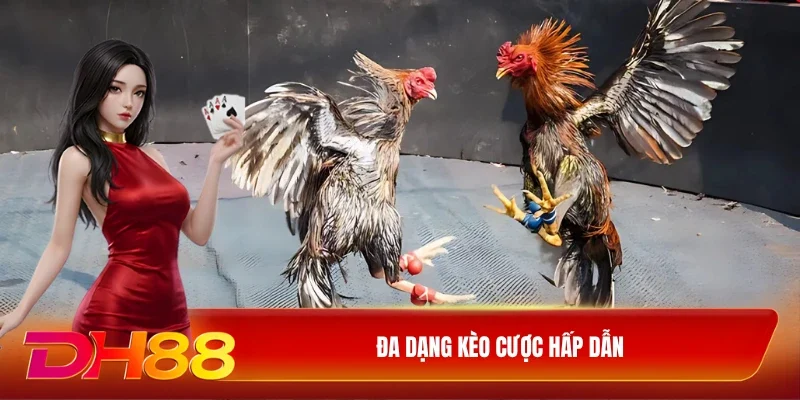 DH88 Đá gà DH88 Đa dạng kèo cược hấp dẫn