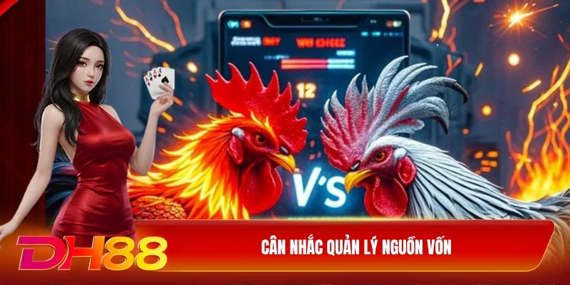 DH88 Đá gà DH88 Cân nhắc quản lý nguồn vốn