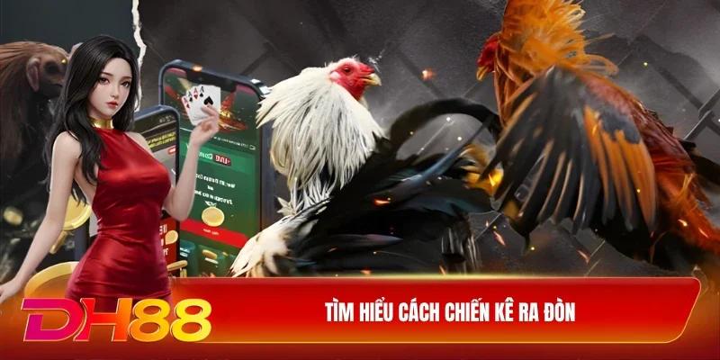 Tìm hiểu cách chiến kê ra đòn