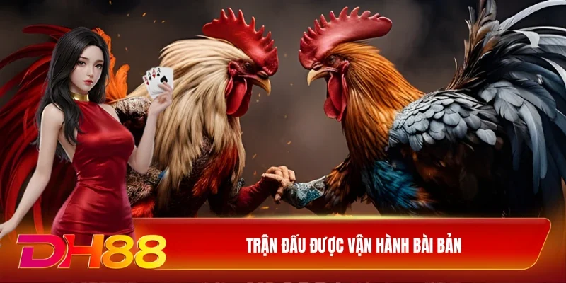 Trận đấu được vận hành bài bản