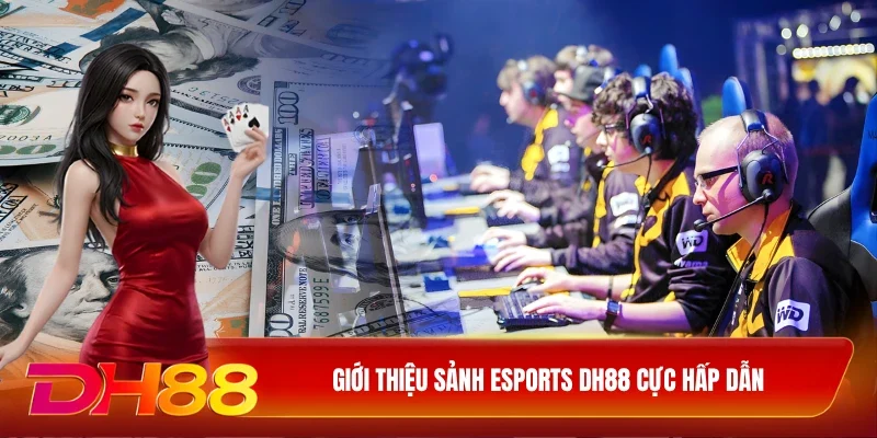 DH88 Esports DH88 Giới thiệu sảnh Esports DH88 cực hấp dẫn